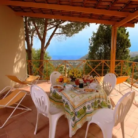 Apartment- Trilo 7